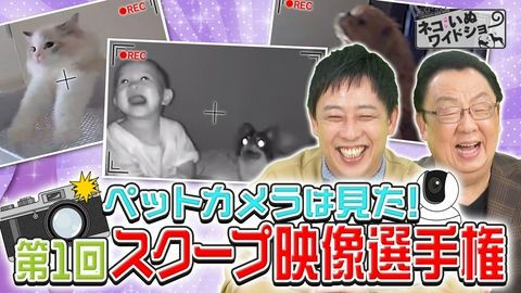 ネコいぬワイドショー カメラは見た！衝撃のネコいぬスクープ映像選手権/命の現場へ駆けつける「往診専門の獣医師」
