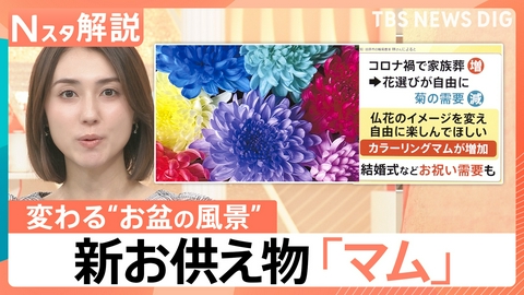 TBS NEWS DIG Powered by JNN 「夜のお墓参り」が新定番に？【Nスタ】