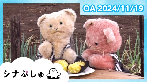 シナぷしゅ シナぷしゅ公式24/11/19