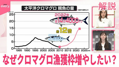 日テレNEWSセレクト 【解説】日本でクロマグロがとれすぎ“他の魚をとることができない”との話も 漁獲枠増で合意できるか…値段に影響は？