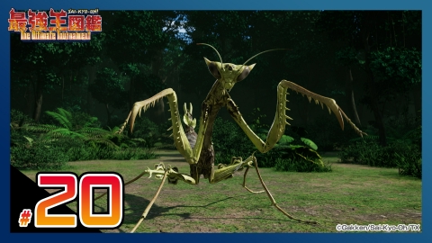 最強王図鑑 ～The Ultimate Tournament～ 8月17日(日)放送分