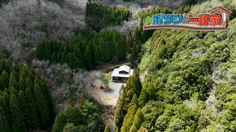 ポツンと一軒家 大分県で木々に埋もれるようにひっそりと建つ一軒家を発見！たくさんの猫たちと穏やかに暮らす様子に、ゲストも思わずほっこり