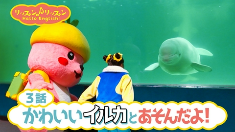 リッスン♪リッスン Hello English！ ♪３かわいいイルカと あそんだよ！