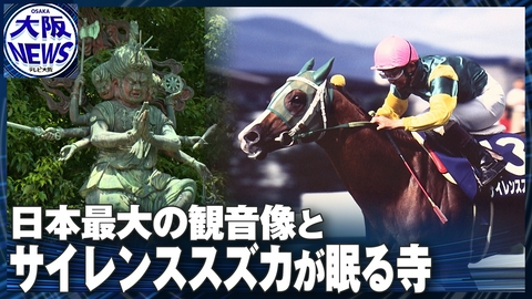 TVOやさしいニュース特集 【名馬が眠る日本最大級の馬頭観音像】なぜ神戸に？六甲山と供養塔の知られざる物語
