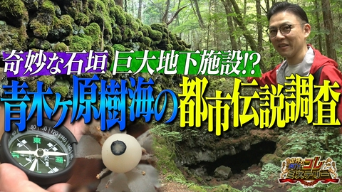 世界の何だコレ！？ミステリー 青木ヶ原樹海の都市伝説調査