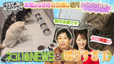 ネコいぬワイドショー 世界の激カワネコいぬニュース/喋りすぎ王一挙大放出！