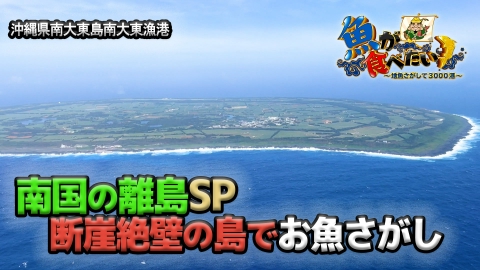 魚が食べたい！ ～地魚さがして3000港～ 11月8日(水)放送分 南国の離島