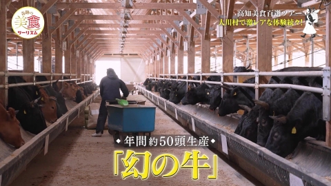 ネイチャーワールド高知　奇跡の美食ツーリズム #27