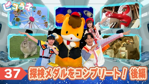 ピコラネ Episode37 探検メダルをコンプリート！後編
