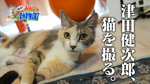 嗚呼!!みんなの動物園 ティモンディ前田×激かわ子猫の人なれに津田健次郎参戦!