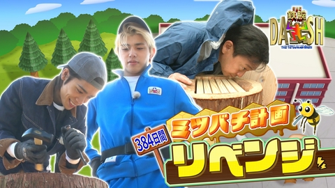 ザ！鉄腕！DASH!! 福島で26年目の米作り始動&新宿ミツバチ大作戦