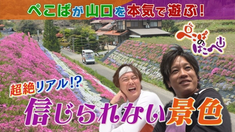 ぺこぱのぱこぺ 芝桜祭り＆おふくろの味＆アイスクリーム秘密工場⁉