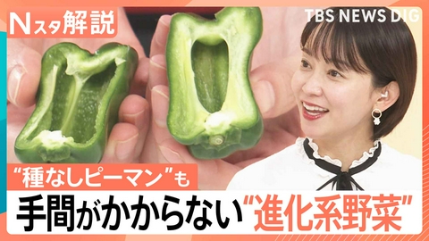 TBS NEWS DIG Powered by JNN “時短ピーマン”に涙の原因を抑えたタマネギも…“進化形野菜”【Nスタ】