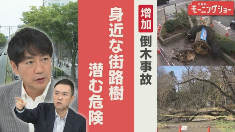 【羽鳥パネル】羽鳥慎一モーニングショー 増える倒木　下敷きで死者も　街路樹に潜む危険