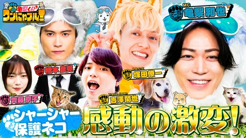 亀梨くんのワンにゃフル！ MC：亀梨和也！地上波初！シャー猫を激カワにする神に密着＆5年行方不明猫の再会