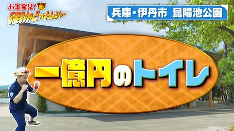 かんさい情報ネットten.「街かど☆トレジャー」 兵庫・伊丹市 の昆陽池公園！なぜ？●●を続ける人…