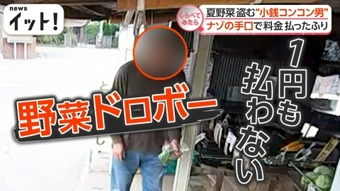 【しらべてみたら】Live News イット！特集 悪質ウソも！？夏野菜ドロボー“仰天”手口