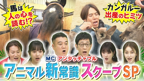 動物さまの言うとおり アニマル新常識スクープSP
