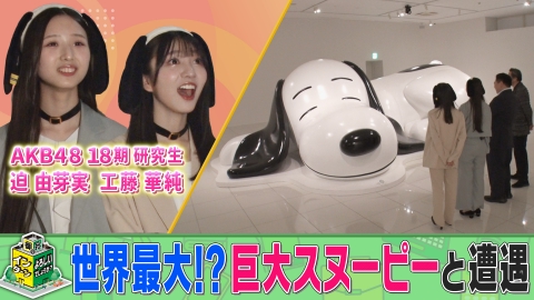 御社でインターンよろしいでしょうか？ スヌーピーミュージアムの魅力に迫る！