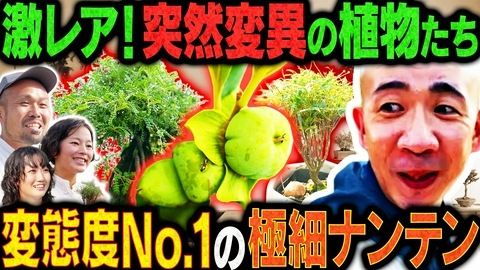 変態植物倶楽部 夫婦で営む盆栽駆け込み寺・塩津植物研究所