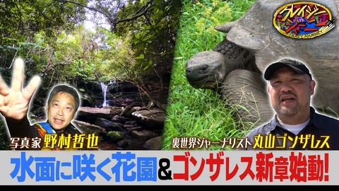 クレイジージャーニー 西表島・水上に咲く奇跡の花園＆ゴンザレスがガラパゴスへ！幻の花園＆楽園の裏！世界遺産ゴールデンSP