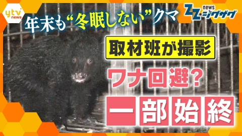 サタデーLIVE ニュース ジグザグ 【クマが学習？】4日連続出没で箱わなを設置、捕獲は…一部始終をカメラが捉えた