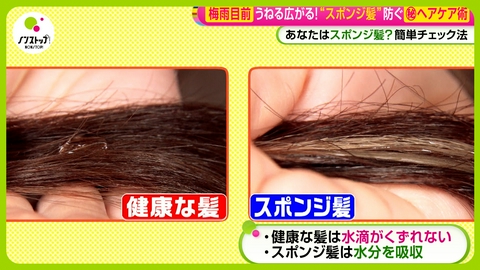 ノンストップ! スポンジ髪になってない?正しいヘアケアを伝授