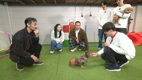 いぬじかん 獣医師が伝授！ワンコの長生きの秘訣はコミュニケーション！？