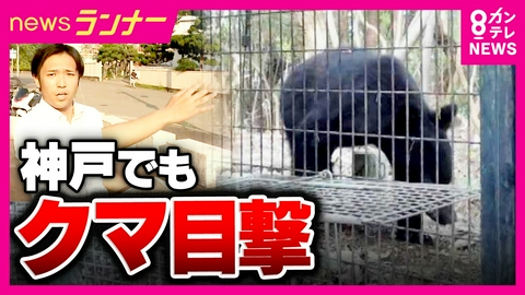newsランナー 神戸市でクマ“初出没”　JR道場駅から直線距離で500メートルほどの山中　小学校も近くに