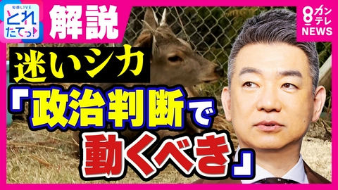 旬感LIVE とれたてっ！ “迷いシカ”新居でまったり過ごすも橋下徹氏は“行政の対応に怒り”「政治判断で動くべき。大都心部でシカ走ってたら危ない、まず捕獲」奈良県にも苦言