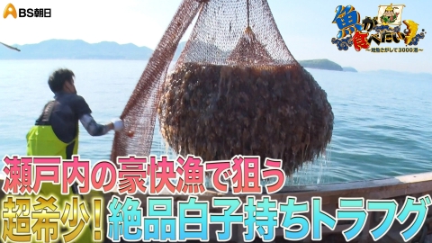 魚が食べたい！ ～地魚さがして3000港～ 7月2日(水)放送分 豊か