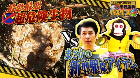迷惑生物から住民を守れ！凄腕！危険生物バスターズ 危険生物バスターズ9★2000匹の凶暴スズメバチVS発明DIYバスターが死闘