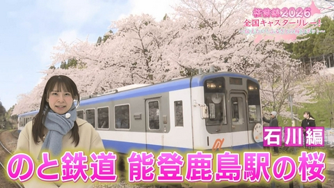 桜前線2026 全国キャスターリレー！ ～伝えたい！ふるさとの桜スポット～ 石川編 「のと鉄道 能登鹿島駅の桜」