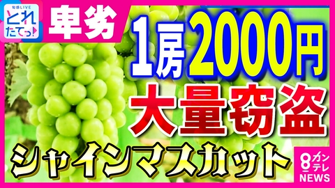 旬感LIVE とれたてっ！ 消えた「1房2000円」のシャインマスカット　防カメ避けて犯行か　警察と農家がパトロール強化　メルカリは注意呼びかけ