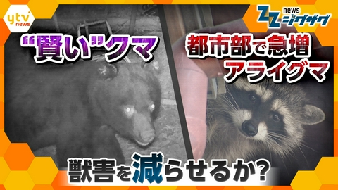 サタデーLIVE ニュース ジグザグ 「かわいい」では済まない！忍び寄る獣害をどう減らす？【ニュース ジグザグ】