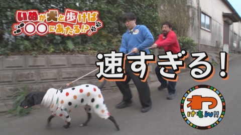 わけもん！！ たつるくんマイ包丁作り＆藤原詠巳さん登場＆元気なワンちゃんに悪戦苦闘！