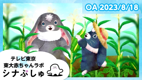 シナぷしゅ
