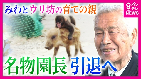newsランナー “みわとウリ坊”の育ての親　名物園長が引退へ　ウリ坊の現在の姿は「むちゃくちゃ大きくなって…」今だから話せる“亀吉脱走事件”　30年間共に歩んできた動物たちとお別れ　福知山市動物園