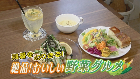 どーんと鹿児島 絶品！おいしい野菜グルメ