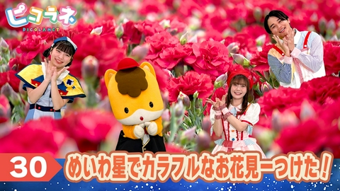 ピコラネ Episode30 めいわ星でカラフルなお花見ーつけた！
