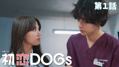 初恋DOGs 第1話 こじらせ大人たちの国を越えた初恋物語