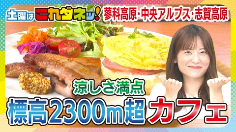土曜はこれダネッ！ 涼しい高原へ　爽快レジャー＆グルメ　猛暑から一瞬で雲の上へ！涼しすぎる信州の高原リゾート