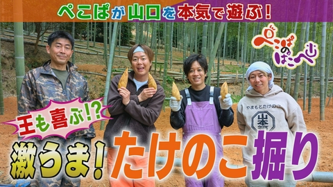 ぺこぱのぱこぺ 春の味覚「タケノコ掘り」に挑戦！