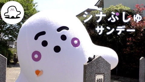 シナぷしゅ シナぷしゅサンデー