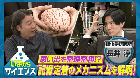 いまからサイエンス 記憶の定着に関するメカニズムを解明！最新脳細胞研究 長井淳（理化学研究所 脳神経科学研究センター・チームディレクター）