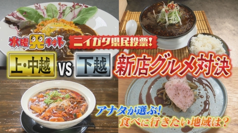 新潟全県民バラエティ 水曜見ナイト ニイガタ県民投票！上・中・下越対抗　新店グルメ