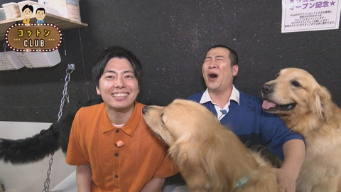 コットンCLUB 疲れ吹き飛ぶ！静岡癒しスポット最前線
