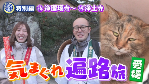 四国一周気まぐれ遍路旅 四国八十八ヶ所を巡るアポ無し珍道中！