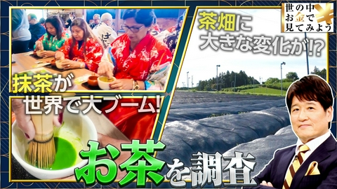 世の中お金で見てみよう～火曜ヨルの学べる経済～ お茶をお金で見てみよう