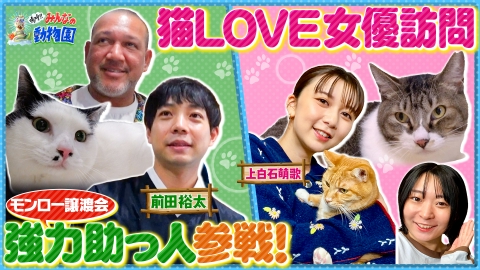 嗚呼!!みんなの動物園 ラミレス家保護猫モンロー譲渡会へ!超強力助っ人も参戦!